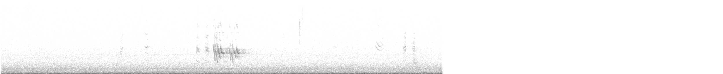 andulka vlnkovaná (domestikovaná) - ML612080963
