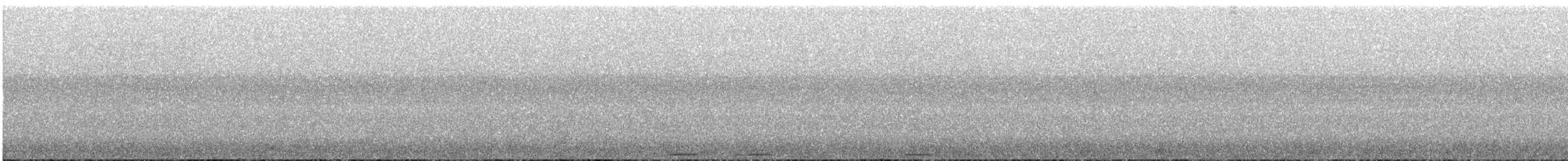 Phapitréron améthyste (maculipectus) - ML612081134