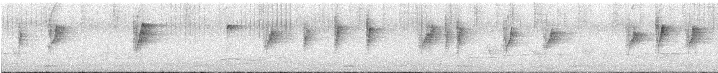 Атласная нектарница - ML612081399