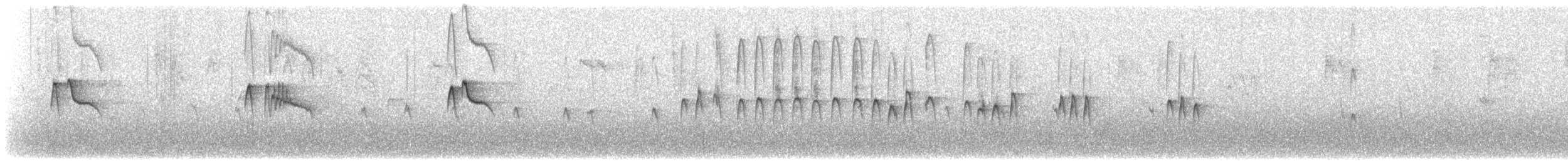 pygméspettmeis - ML612082059