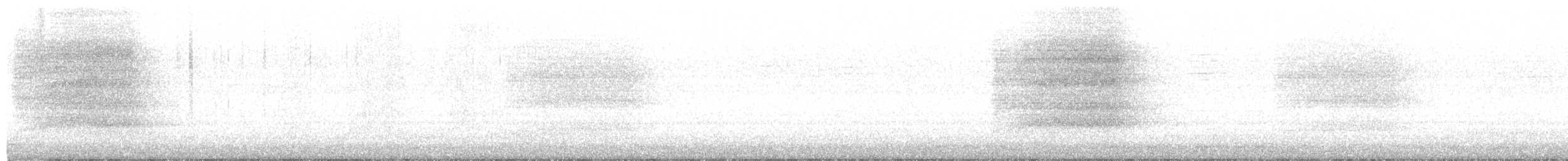 Effraie orientale - ML612085651