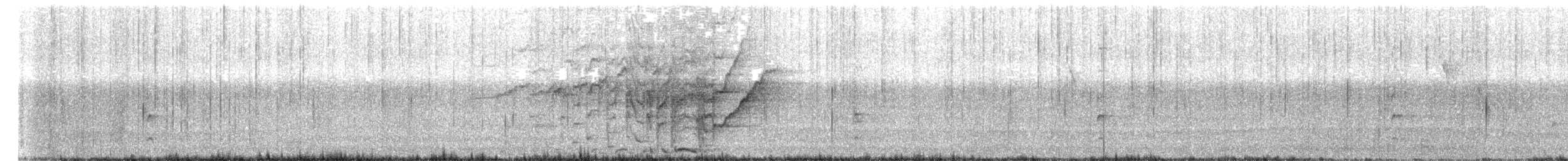 Montezuma Oropendola - ML612087418