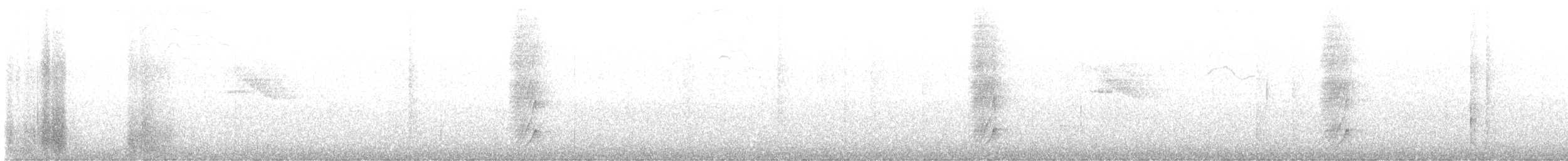 Satır Gagalı Vanga - ML612090418