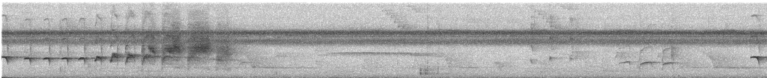 Rostflanken-Ameisenschnäpper - ML612095682