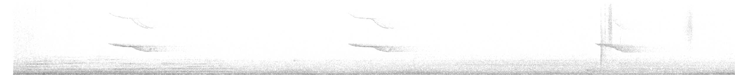 Band-winged Nightjar - ML612097888
