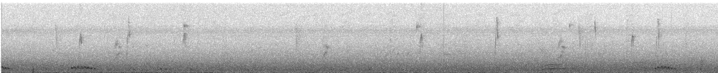 holoubek šupinkový - ML612103682