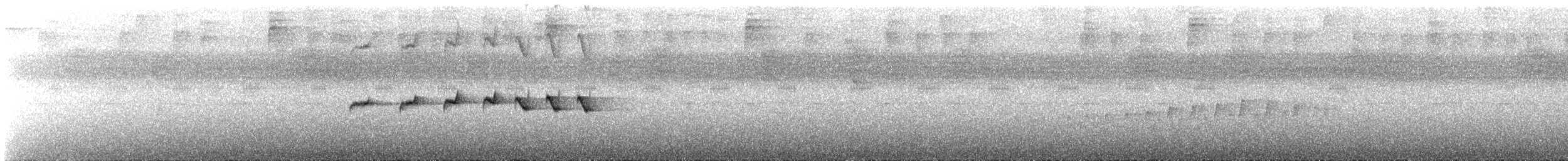 Grauscheitel-Ameisenvogel - ML612103724