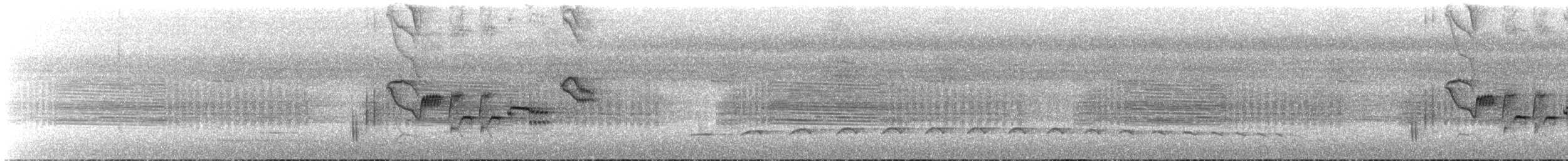 Дрізд-короткодзьоб чорноголовий - ML612103727