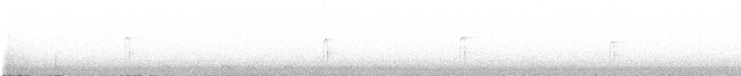 Haarspecht [villosus-Gruppe] - ML612104206