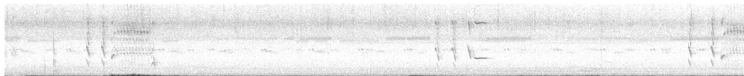 Патагонский курен - ML612105932