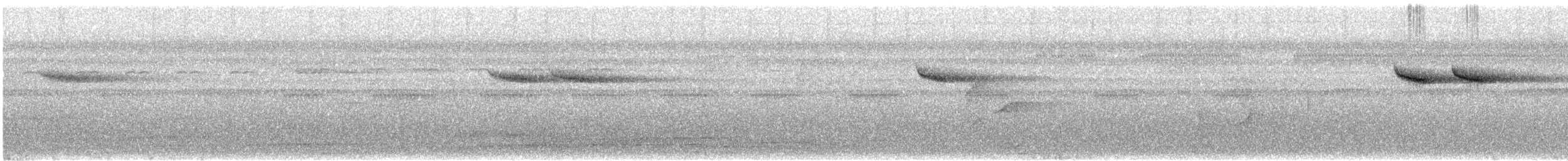 hvitkronekløftstjert - ML612110513