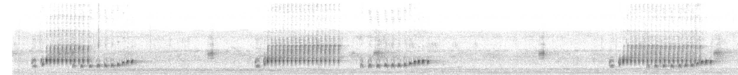 Schwarzschwanzsäbler - ML612113278