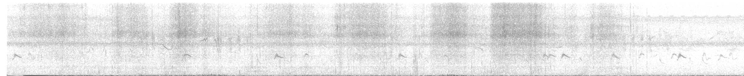 חרטומית סיבירית - ML612114929