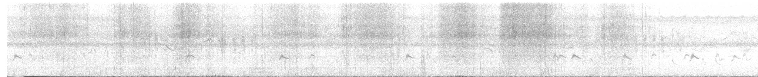 チュウジシギ - ML612114929