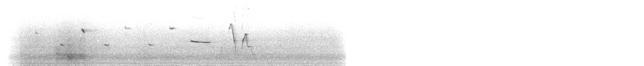 Щетинкодзьоб рудий - ML612116191
