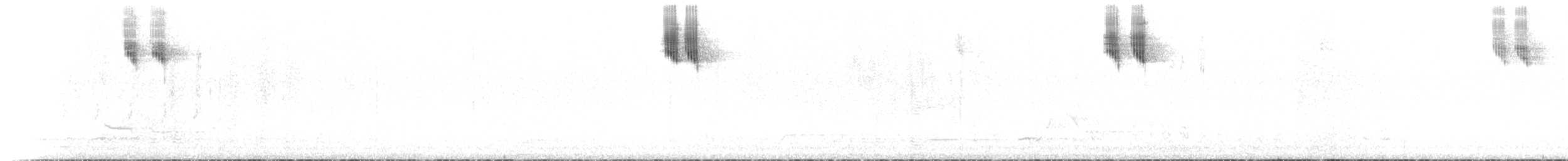 Queue-de-gaze du Sud - ML612117321