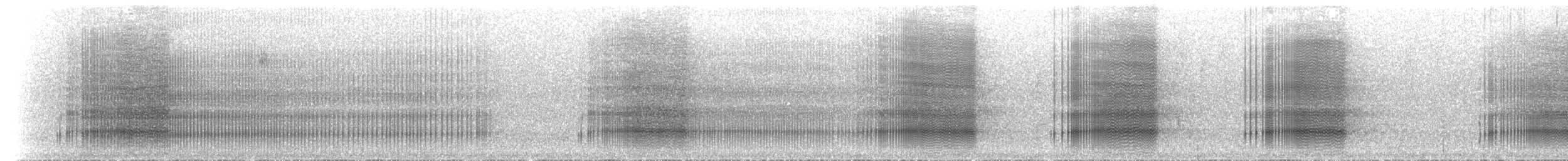 kakadu přílbový - ML612118378