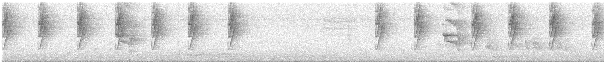 Длинноклювый колибри-отшельник - ML612120464