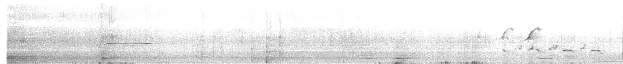 Фірлюк рудокрилий - ML61212091