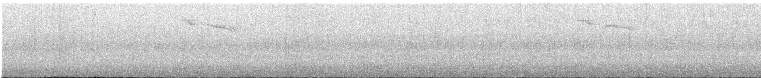 Kara Kuşaklı Öksekuşu - ML612121654