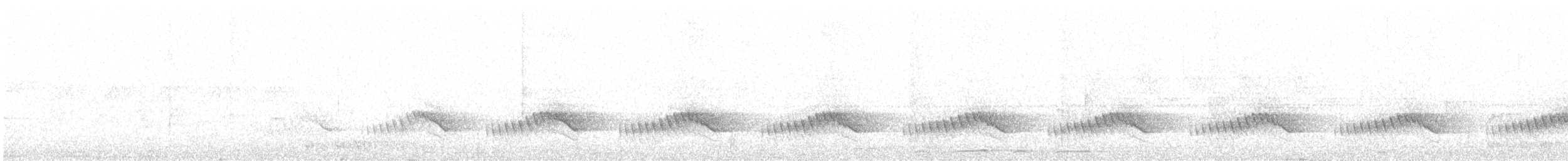 Белобровый личинкоед-свистун - ML612128973