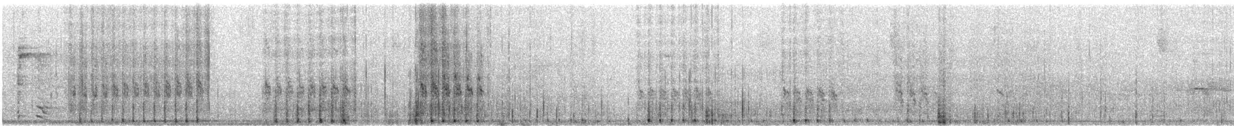 Weißmantelspecht - ML612131052