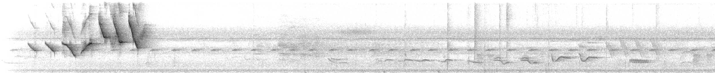 Paruline à couronne dorée (hypoleucus) - ML612131357