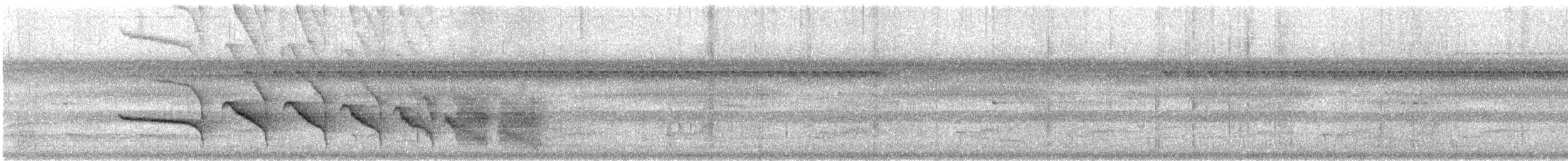 Weißbrust-Ameisenvogel - ML612132007
