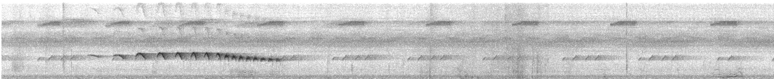 Grauwangen-Ameisenvogel - ML612132066