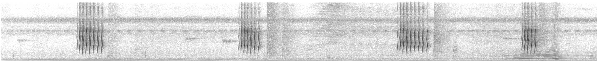 Humaita Karıncakuşu - ML612132382