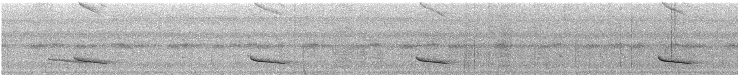 Smaragdan oreillard (groupe leucotis) - ML612132784