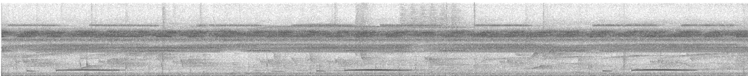 holub safírový - ML612134841