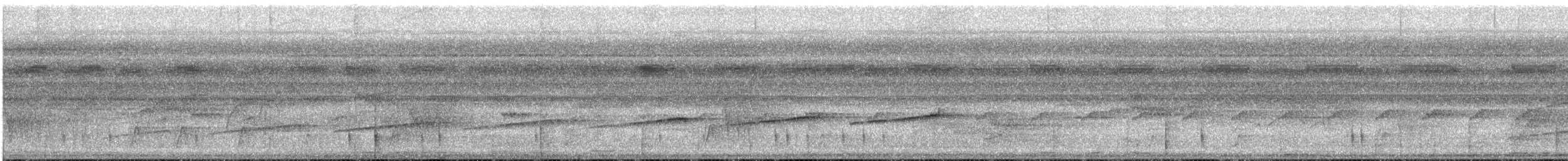 Мурав’янка-куцохвіст велика - ML612134847