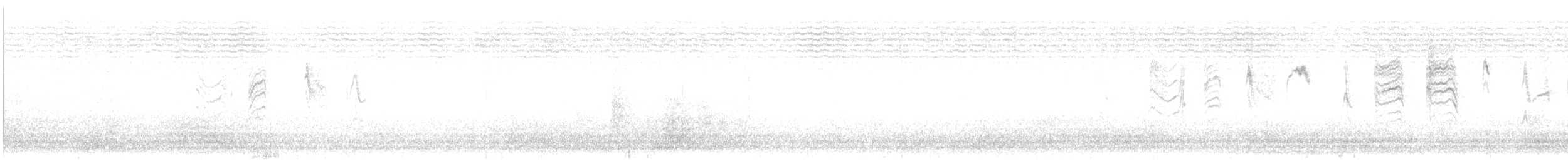nordmyggsmett (obscura gr.) - ML612135883