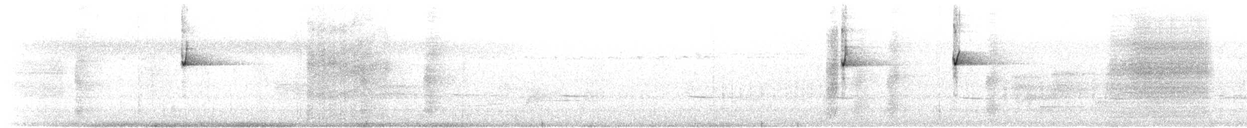 Tüpfellaubenvogel - ML612136627