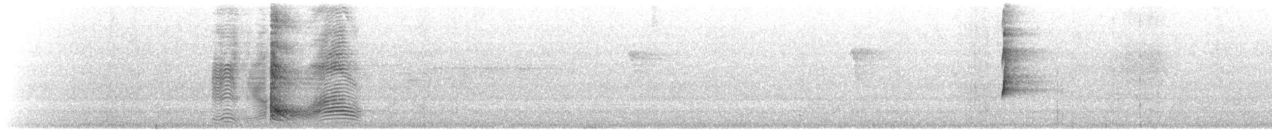 Spotted Catbird - ML612136629