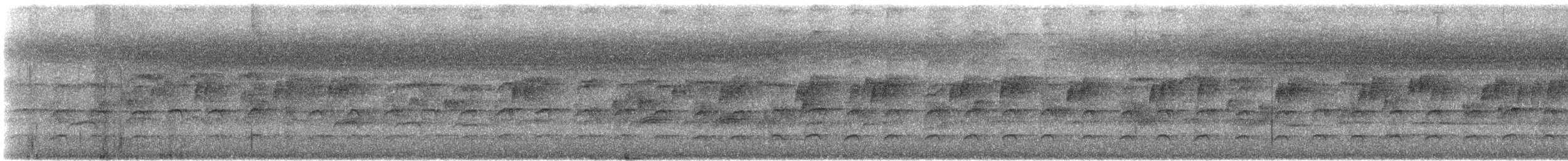Медовичка темна [група obscura] - ML612136767