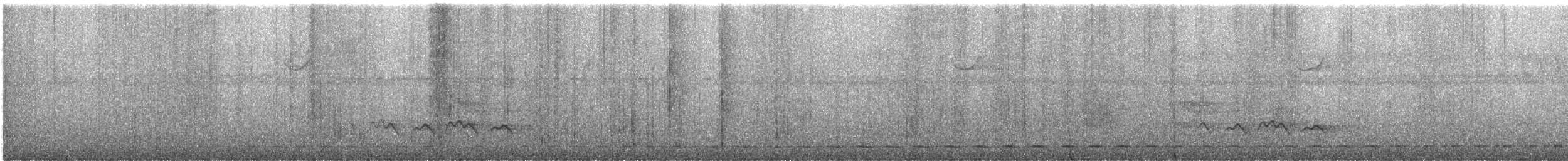 Streifenbrust-Ameisendrossel - ML612137233