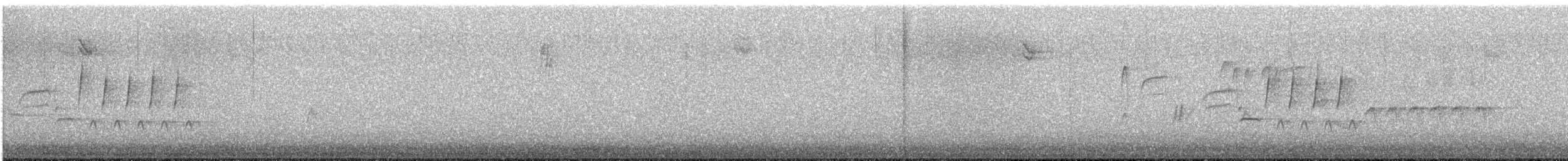 Troglodyte de Bewick - ML612137474