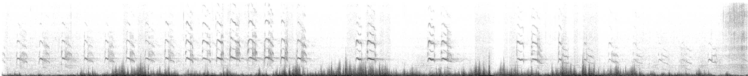 ביצנית עקודה - ML612138766