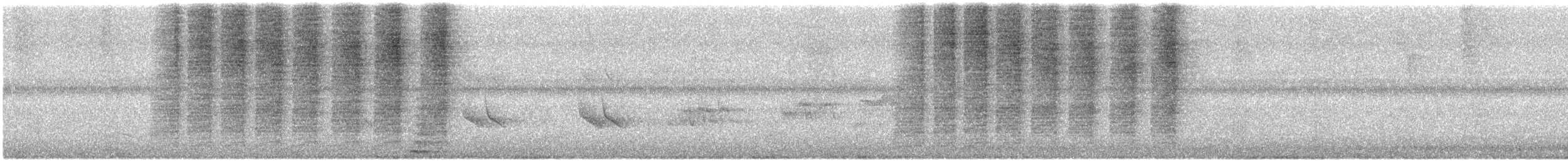 Каролинский крапивник - ML612140197
