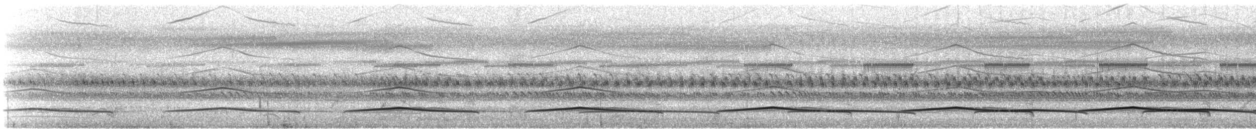 Langschwanztriel - ML612141803