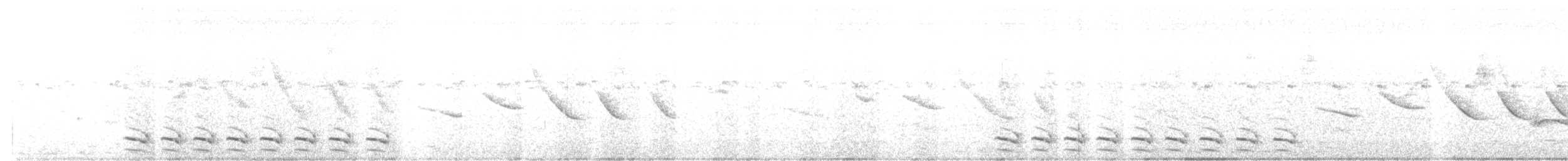Сорокуш сірий - ML612142457
