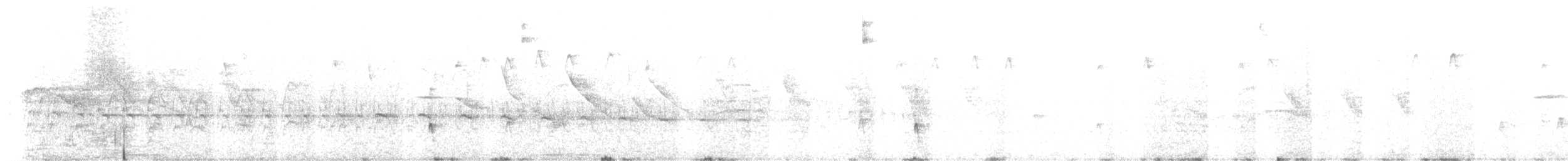 Dreibinden-Olivtyrann - ML612142617