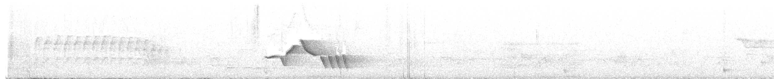 Гвианский крапивник - ML612143658