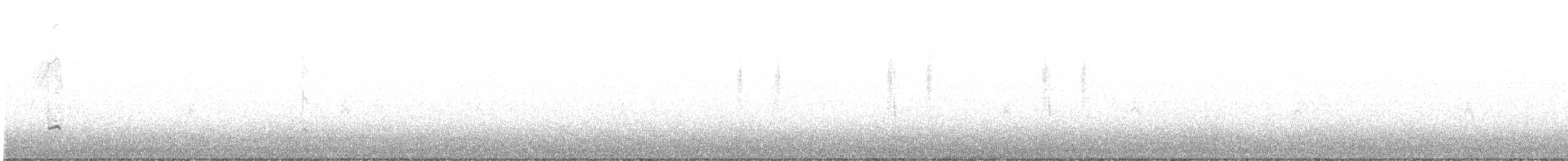 Sarcelle d'hiver (carolinensis) - ML612144879