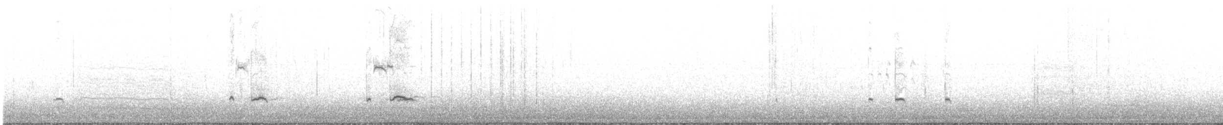 krikkand (carolinensis) (amerikakrikkand) - ML612144881
