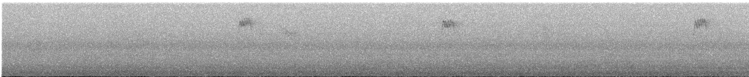 Turuncu Karınlı Öksekuşu - ML612146461
