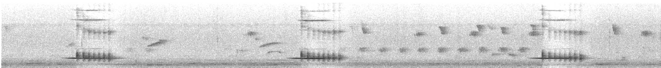 Bubú Bicolor - ML612147749