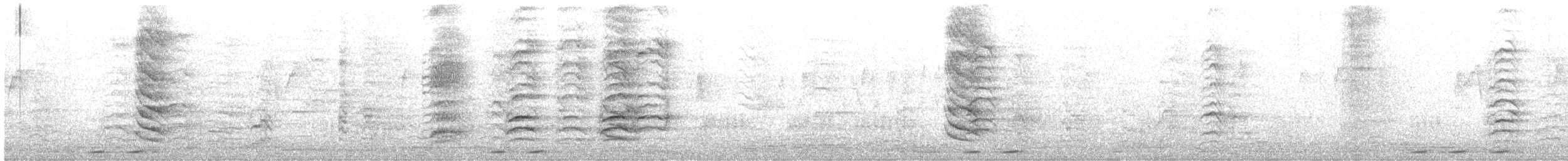 hærfugl (epops gr.) - ML612149143